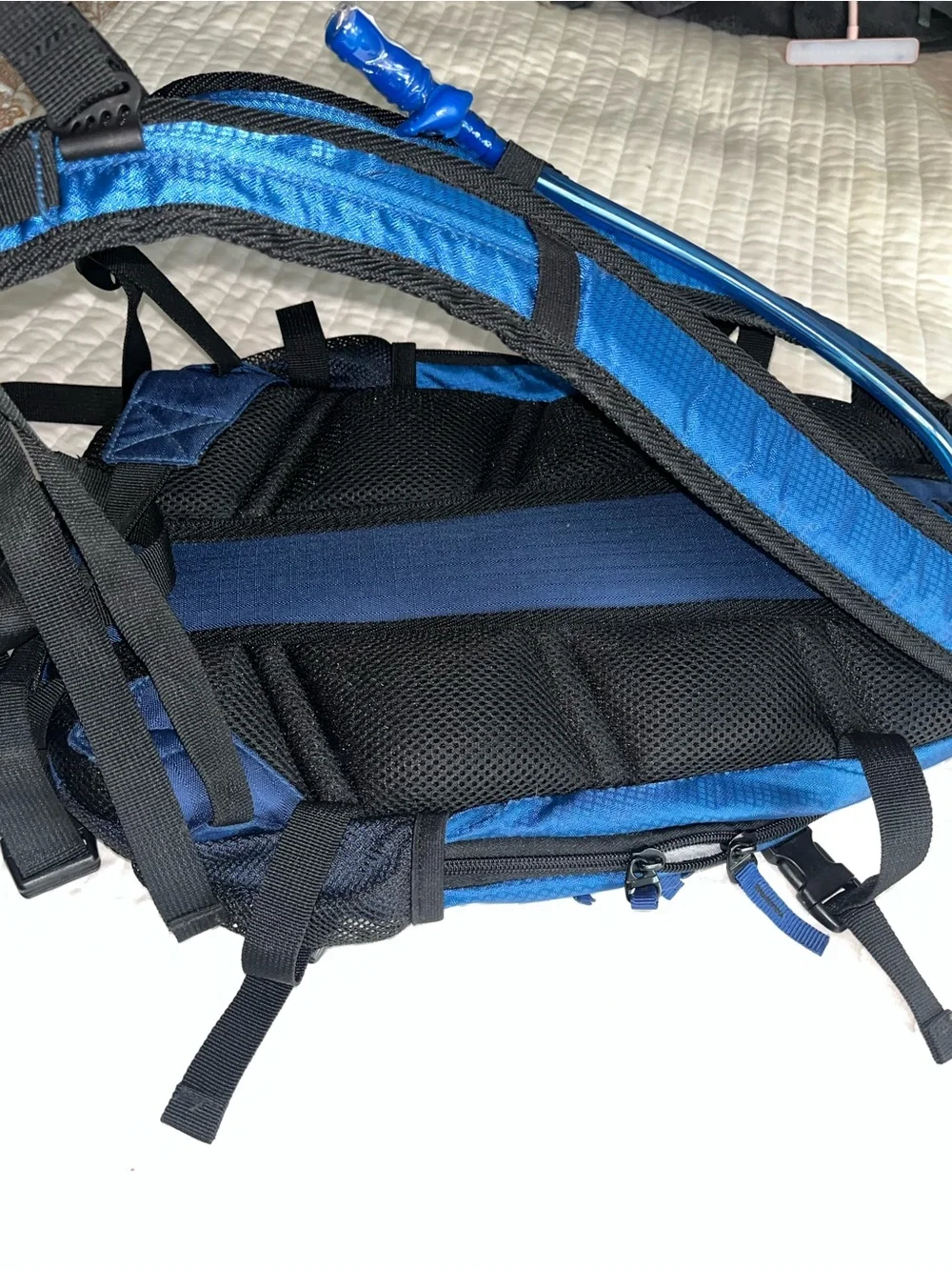 Quest sturdy liter